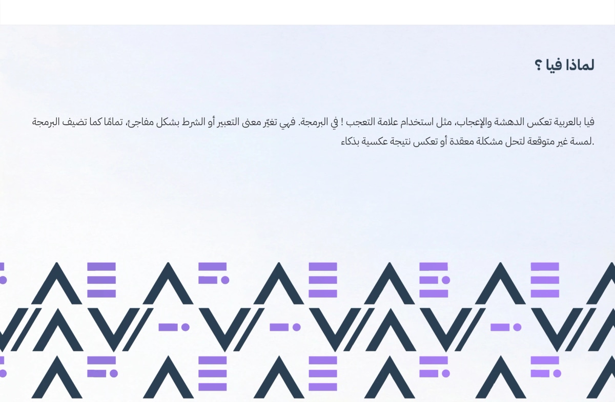 دليل هوية فيا - 17